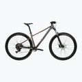 Bicicletta da montagna KROSS Level X100 grey/brown/matte