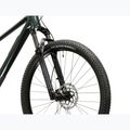 Bicicletta da montagna KROSS Level RS 1.0 green/chameleon/gloss 5