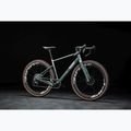 Bicicletta gravel KROSS Esker ADV 3.0 green-gray/silver/matte 14