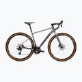 Bicicletta gravel KROSS Esker 6.0 chameleon/matte/gloss