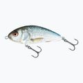 Salmo Fatso FLO vero e proprio dace wobbler