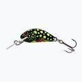 Salmo Hornet FLO scarabeo wobbler