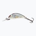 Salmo Hornet SNK real dace wobbler