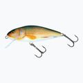 Salmo Perch FLO, vero roach wobbler