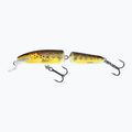 Salmo Fanatic F7F trota wobbler