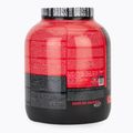 Fitness Authority Isolate Bad Ass Zero 2 kg biscotti con panna 2