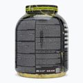 Fitness Authority Gainer Skull Labs Ripped 3 kg vaniglia 3