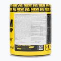Fitness Authority pre-allenamento Napalm On Stage Pump 313 g frutto del drago 2