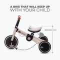 Triciclo Kinderkraft 4TRIKE grigio argento 10