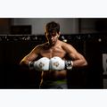 Guanti da boxe DBX BUSHIDO DBD-B-2 bianco 9