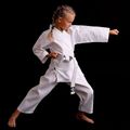 DBX BUSHIDO ARK-3102 karategi con cintura per bambini bianco 14