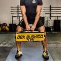Sacco di alimentazione DBX BUSHIDO 10 kg giallo Pb10 8