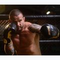 DBX BUSHIDO guantoni da boxe in pelle naturale neri B-2v14 14