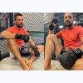 DBX BUSHIDO Master MMA guanti da grappling nero 14