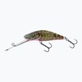 Salmo Bullhead SDR scintillante testa di toro wobbler