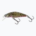 Salmo Bullhead FLO trampoliere testa di toro frizzante