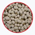 Amo MatchPro Top Garlic 7 mm con manubrio 2
