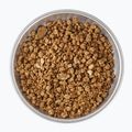 Alimenti liofilizzati LYOFOOD Jaglanka su bevanda al cocco 210 g 3