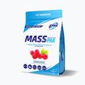 Gainer 6PAK Mass Pak 1000 g Lampone