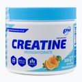 Creatina 6PAK Creatina monoidrato 300 g Arancione