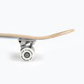 Fish Skateboards Zack Beginner 8.0' skateboard classico 12