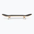Fish Skateboards Mason Beginner 8.0" classico skateboard 3