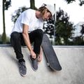 Fish Skateboards Mason Beginner 8.0" classico skateboard 9