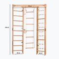 Sbarra ginnica Rinagym SPR Corner natural 2