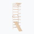 Scala da ginnastica RINAGYM SPR C+SLIDE 2