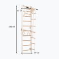 Scala ginnica RINAGYM SPR A bianco 4