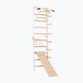 Scala ginnica RINAGYM SPR A+SLIDE 2