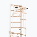 Scala ginnica RINAGYM SPR A+SLIDE 5