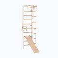 Scala ginnica RINAGYM SPR B+SLIDE 3