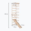 Scala ginnica RINAGYM SPR B+SLIDE 5