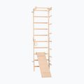 Scala ginnica RINAGYM SPR B+SLIDE 2
