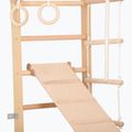 Scala ginnica RINAGYM SPR B+SLIDE 5