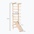 Scala ginnica RINAGYM SPR B+SLIDE 6