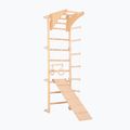 Scala ginnica RINAGYM ECO-PINE+SLIDE 3