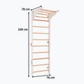 Scala per allenamento RINAGYM Pro Pure pure white 6