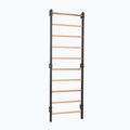 Sbarra ginnica RINAGYM Steel 1 graphit 2