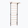 Sbarra ginnica RINAGYM Steel Pure graphit 2