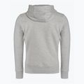 Felpa da uomo Pitbull West Coast con cappuccio piccolo logo 21 grigio/melange 2