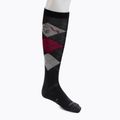 Calze da equitazione Comodo SPJW/02 multicolore
