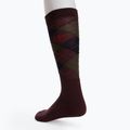 Calze da equitazione Comodo SJPW/04 multicolore 2