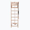 Scala ginnica BenchK marrone BK-111+A204 2
