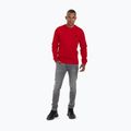 Felpa uomo Pitbull West Coast Tanbark Crewneck rosso 2