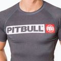 T-S Rash Hilltop Pitbull West Coast uomo grigio/melange rashguard 4