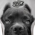 Maglietta Pitbull West Coast donna Ir bianco 3