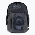 Zaino Pitbull West Coast da uomo Pitbull Ir 28 l nero/grigio