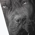 Leggings Pitbull West Coast da uomo Born in 1989 nero 3
